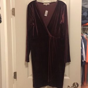 NWT LOFT Velvet Knot Wrap Dress